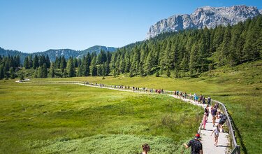 Wanderung zum Almpicknick