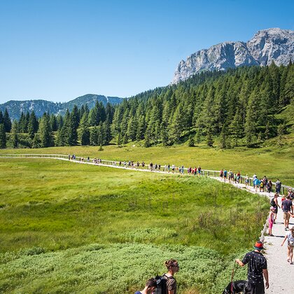 Geführte Wanderung mit Großgruppe