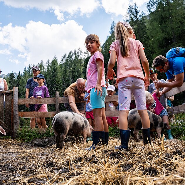 Mädchen im Schweinestall beim Schweinewaschen