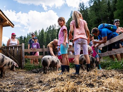 Kinder beim Schweinewaschen