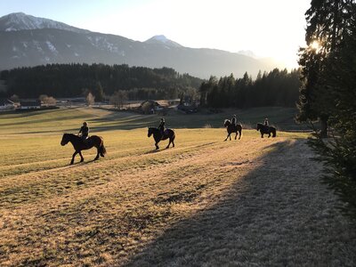 Kinder reiten auf Pferden direkt am Nassfeld