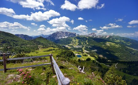 Blick über die Berger im Sommer