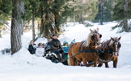 Fahrt mit dem Pferdeschlitten in der Winterlandschaft