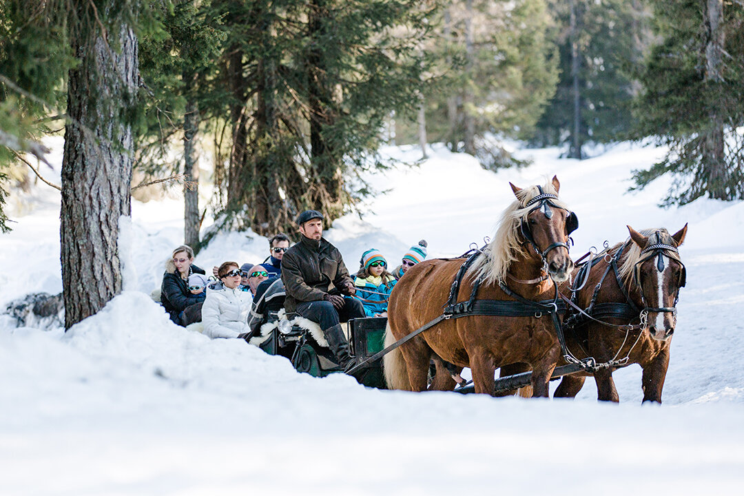 Fahrt mit dem Pferdeschlitten durch die Winterlandschaft