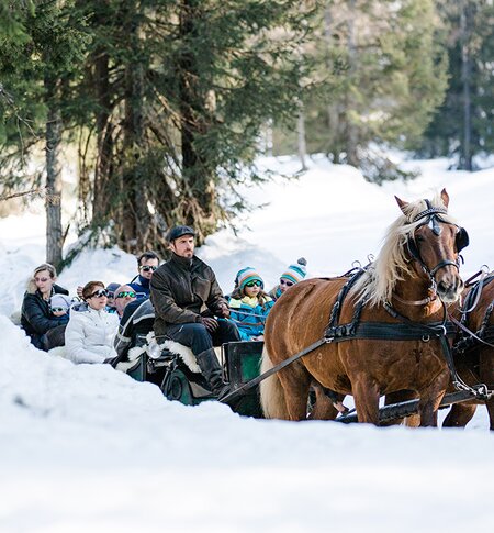 Fahrt mit dem Pferdeschlitten durch die Winterlandschaft