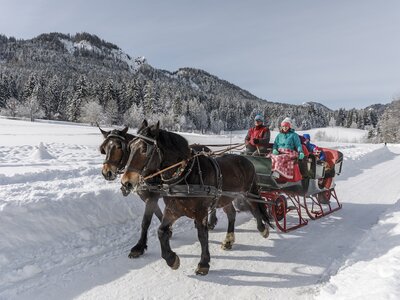 Fahrt mit dem Pferdeschlitten durch die Winterlandschaft